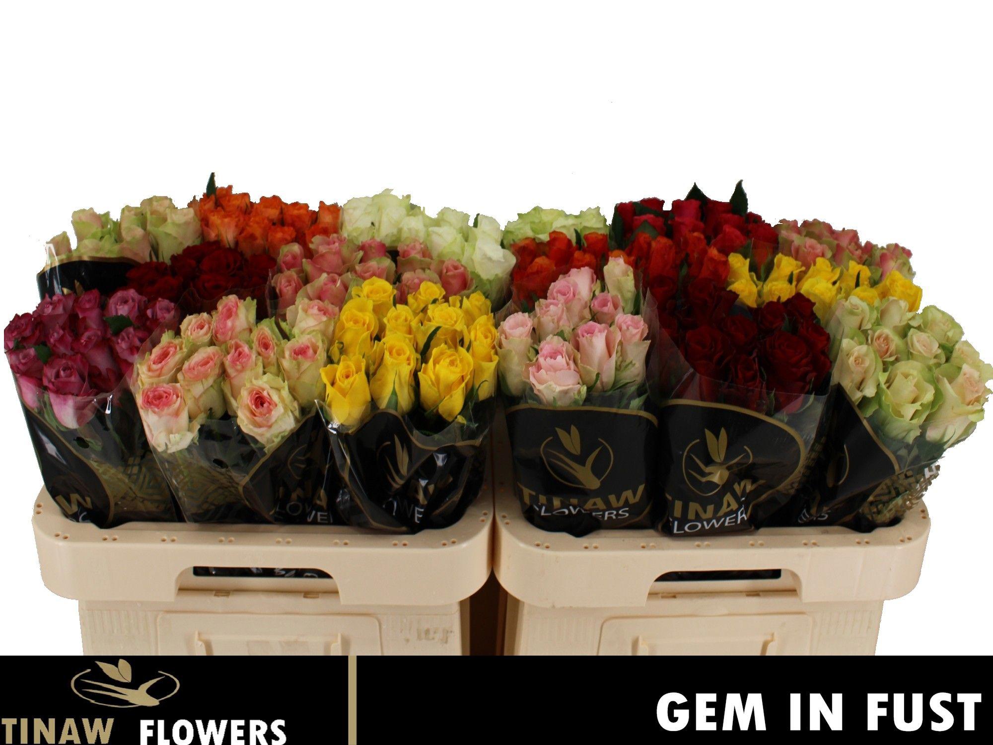 80x Rosa mix var.(middelbloemig) 60cm