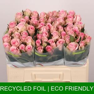 20x Rosa jessika 50cm
