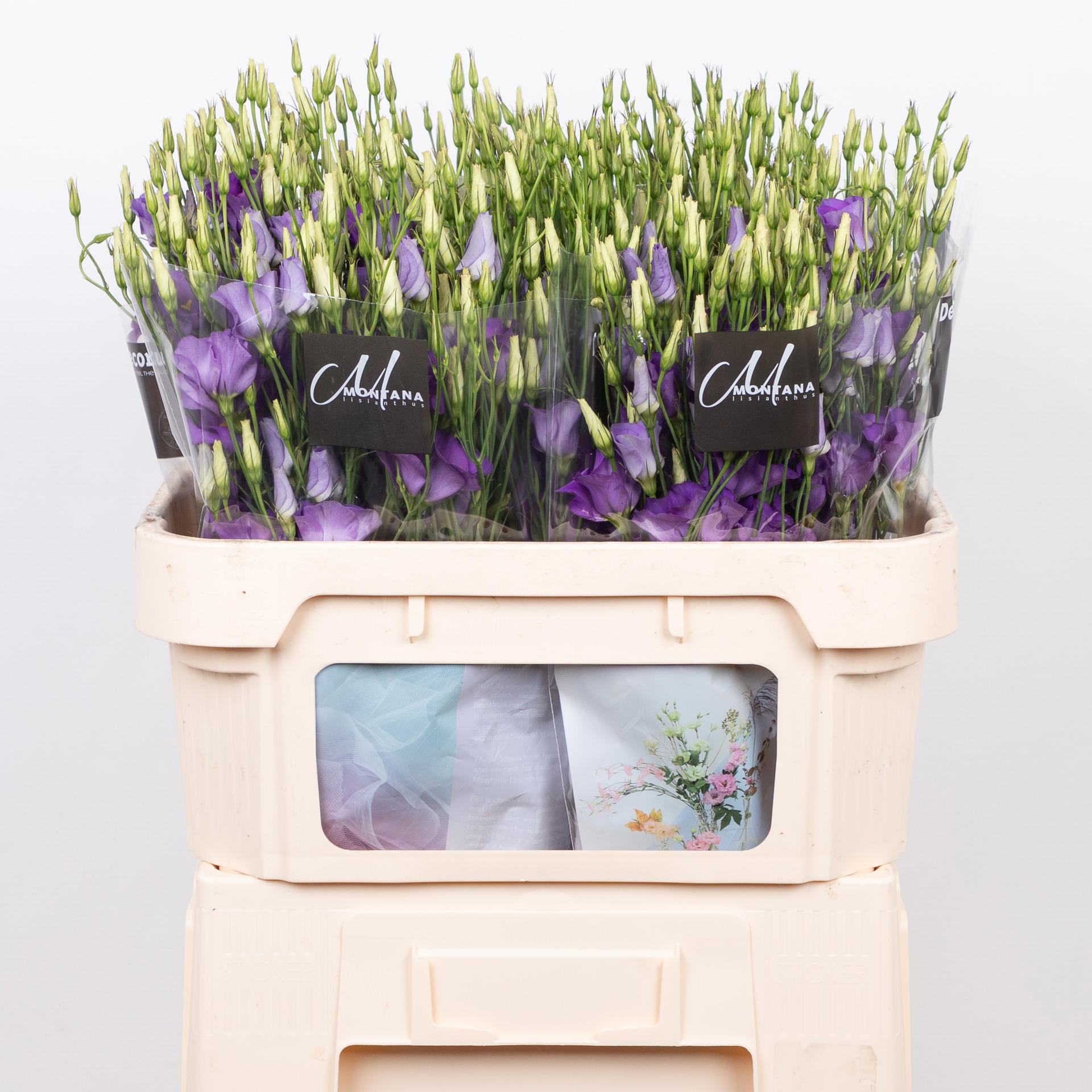 10x Eust.botanic blue en 70cm