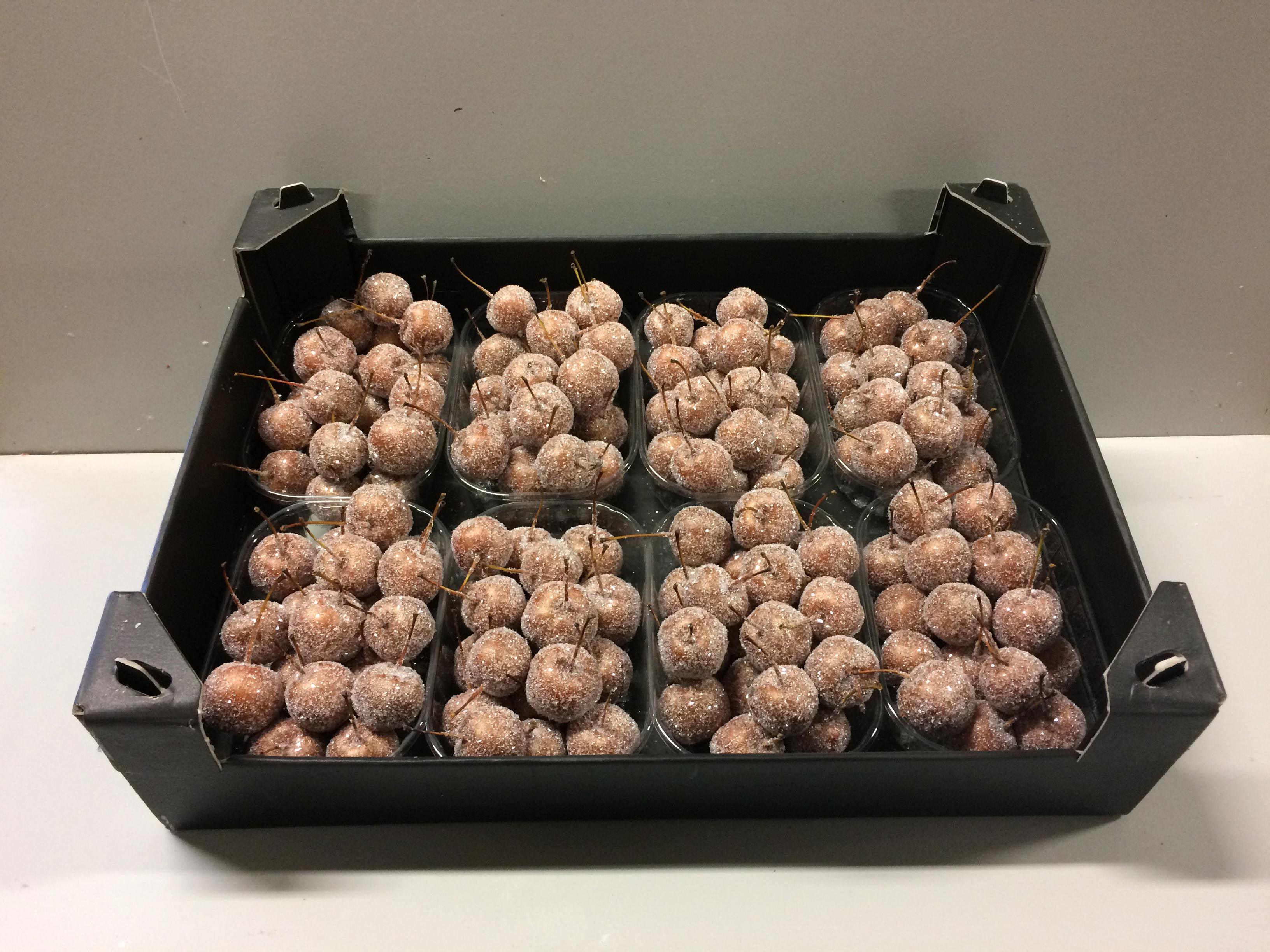 8x Sf malus wax koper + glitter