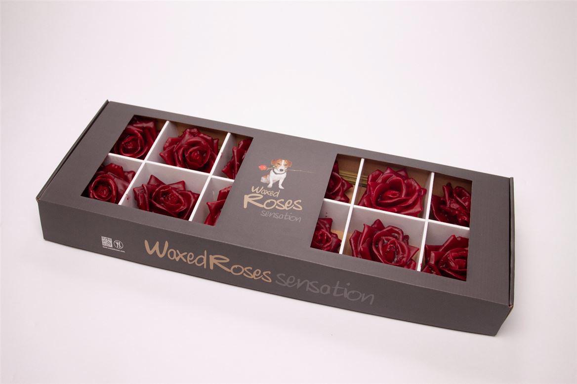 12x Dc wax zijden roos bordeaux 10cm