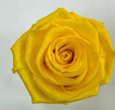 4x Dc pres.rozen teddy sunny yellow