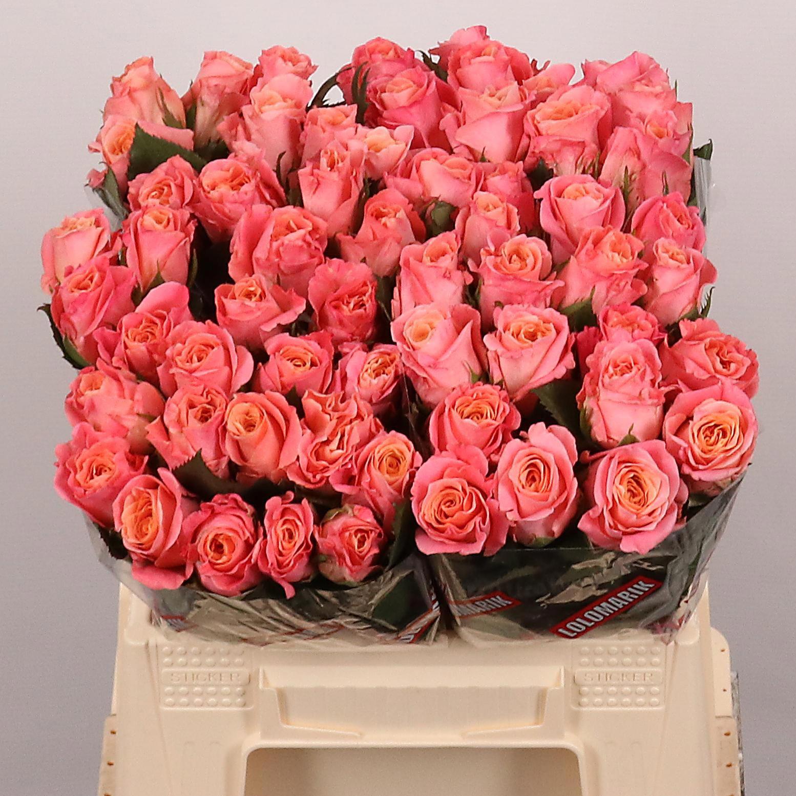 10x Rosa miss piggy+ 40cm