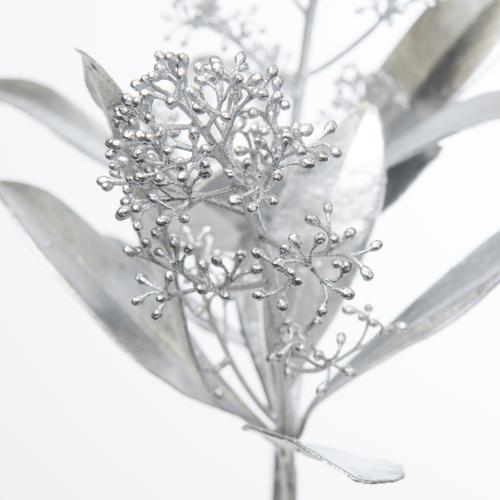 5x Skimmia zilver 40cm