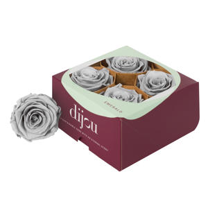 4x Rose preserved dc grey