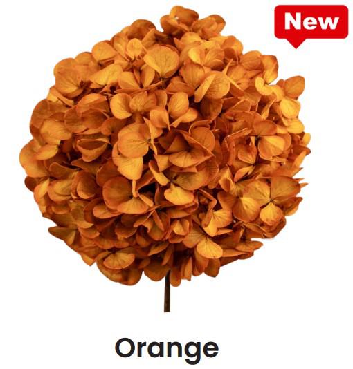 1x Dc pres.hydr.orange