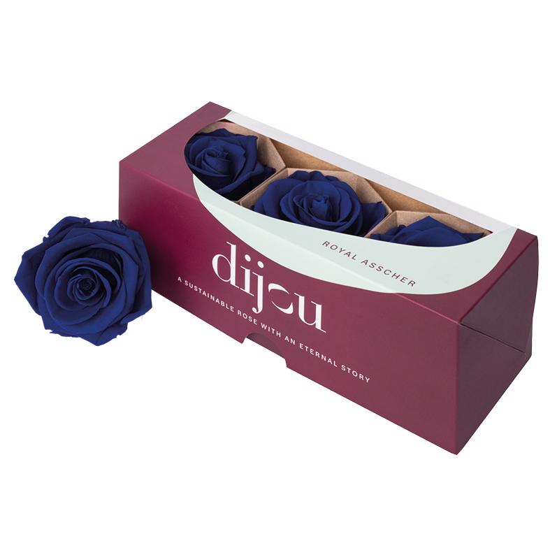 3x Dc pres.rozen blue 0294c