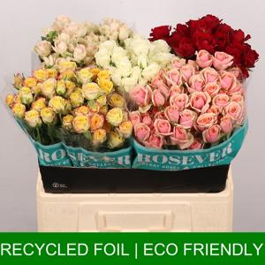 60x Rosa mix var.(t) 70cm