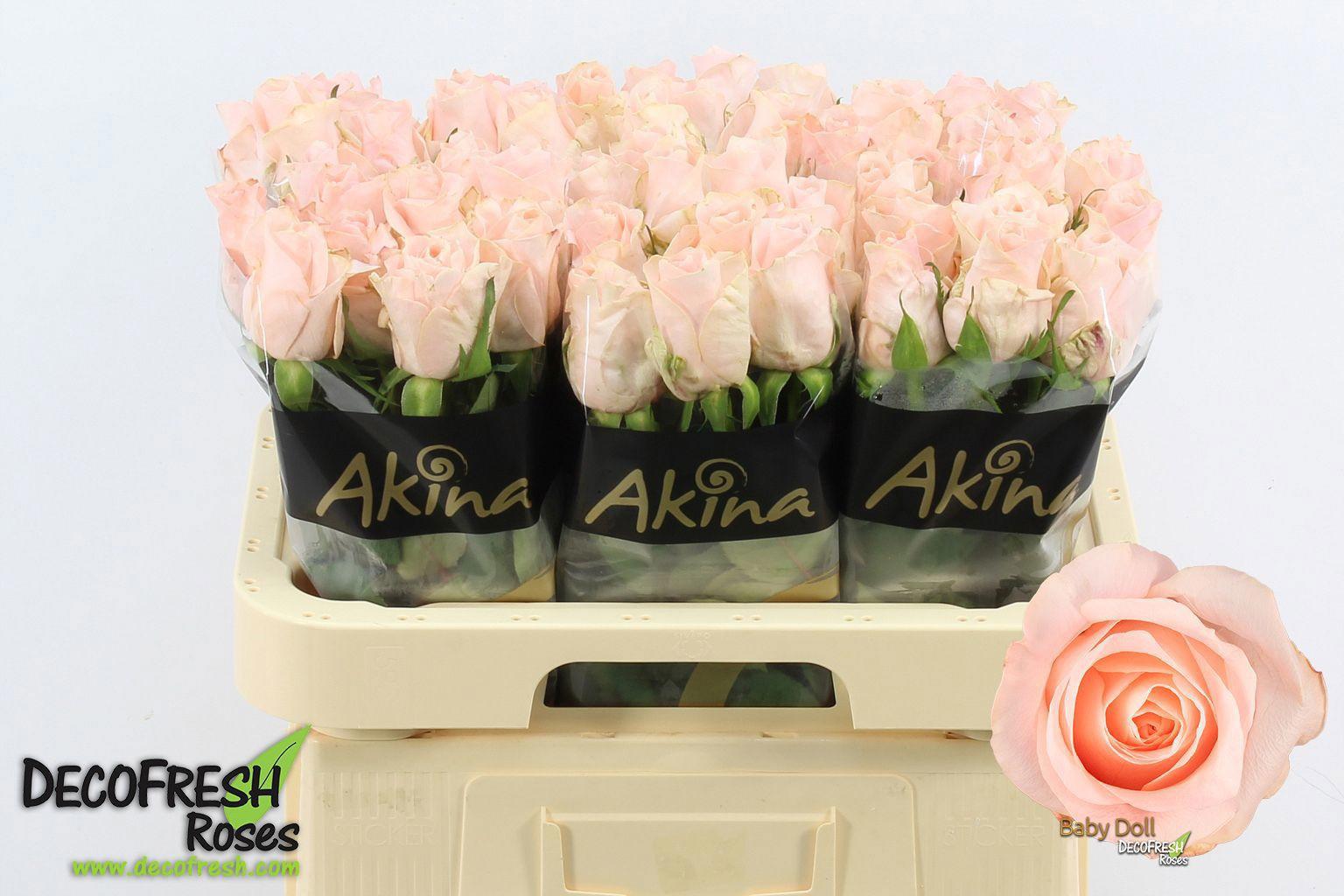 10x Rosa baby doll 60cm