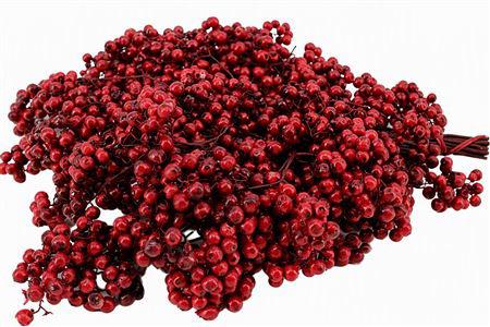 10x Dc pepper berry bordeaux