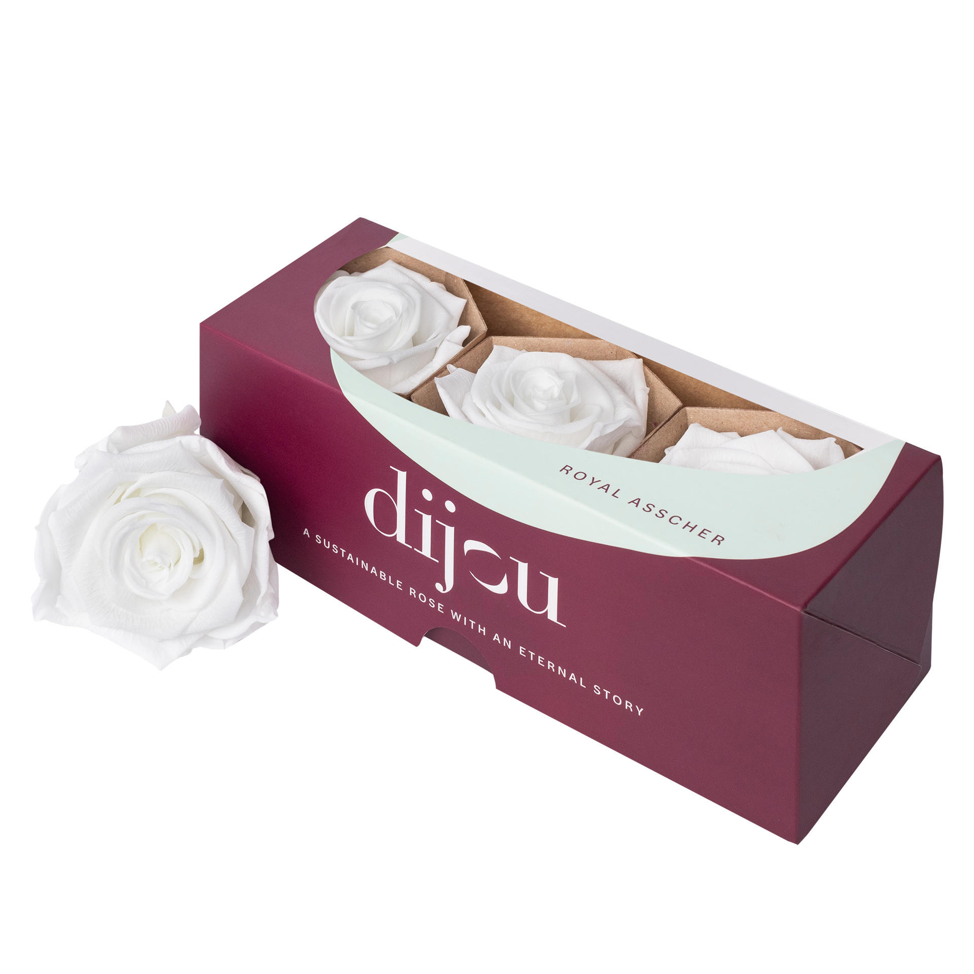 3x Dc pres.rozen white 0601t