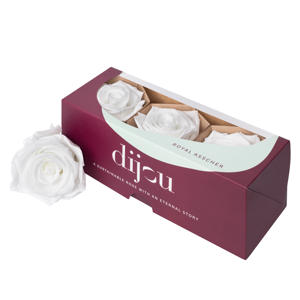 3x Dc pres.rozen white 0601t
