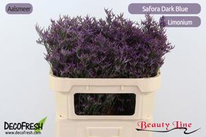 25x Lim.safora dark blue 70cm