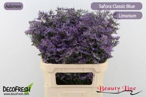 25x Lim.safora classic blue 80cm