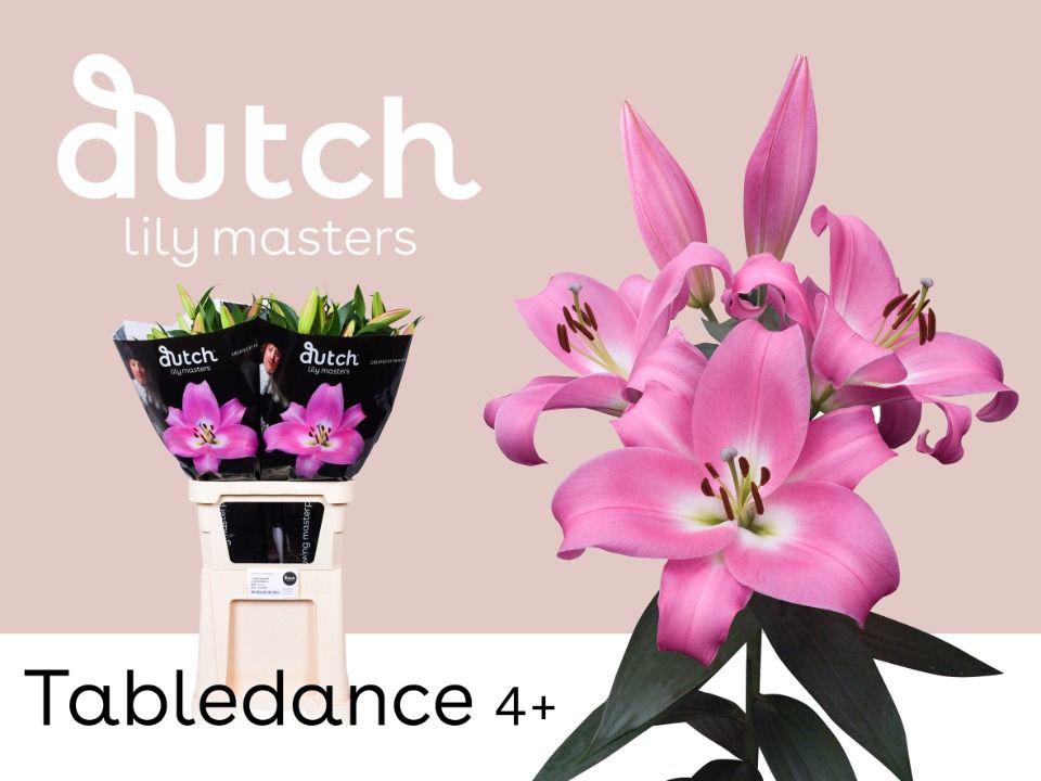 10x Lil.tabledance lo 80cm