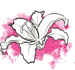 10x Lil. 4 roze 80cm