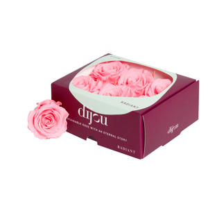 6x Dc pres.rozen light pink 1765c
