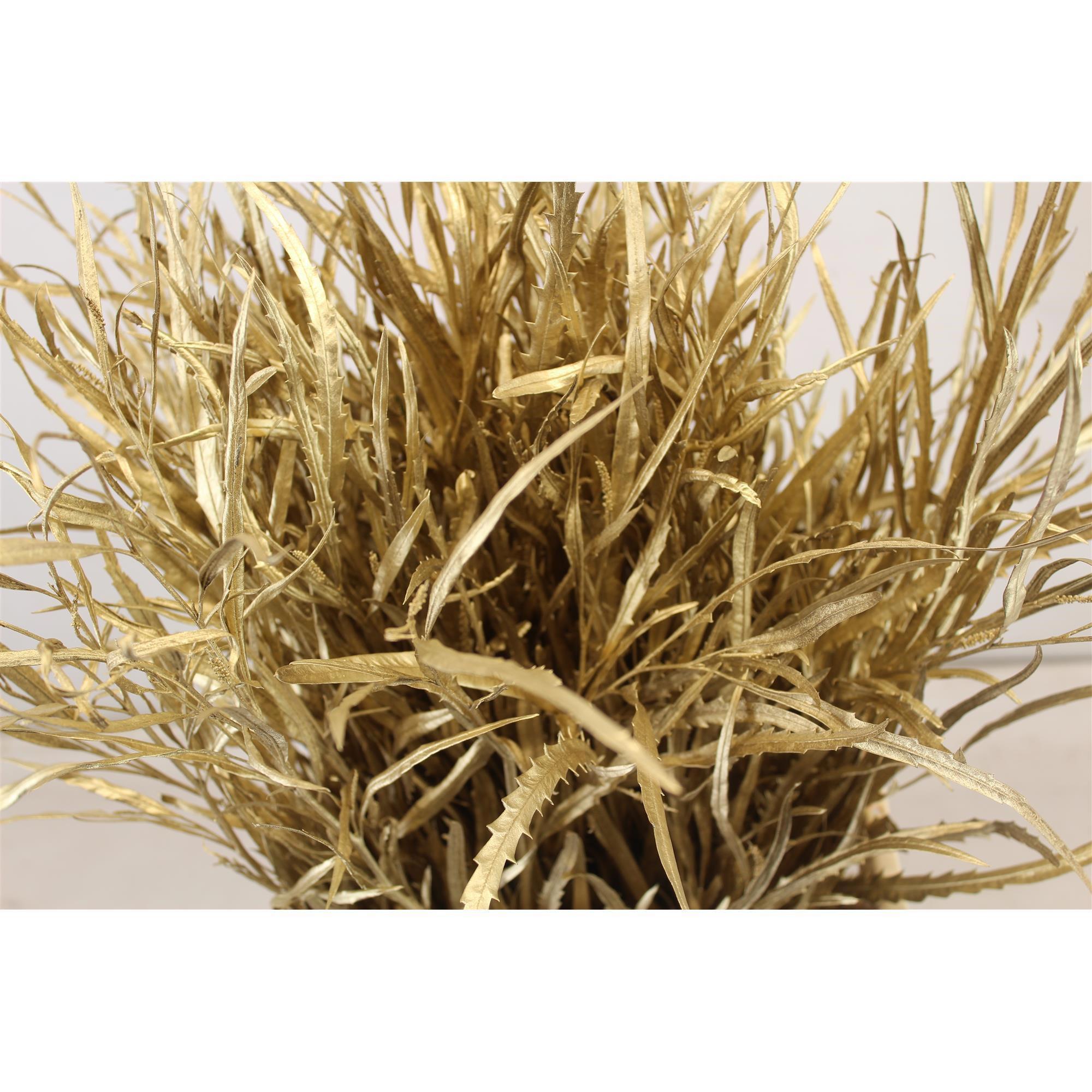 5x Sg grevil.bl.(v) goud 70cm
