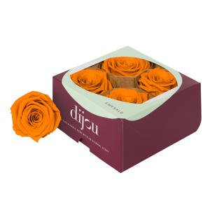 4x Dc pres.rozen lime orange