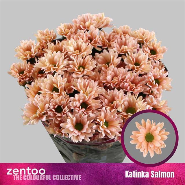 10x Chrysant katinka salmon 70cm