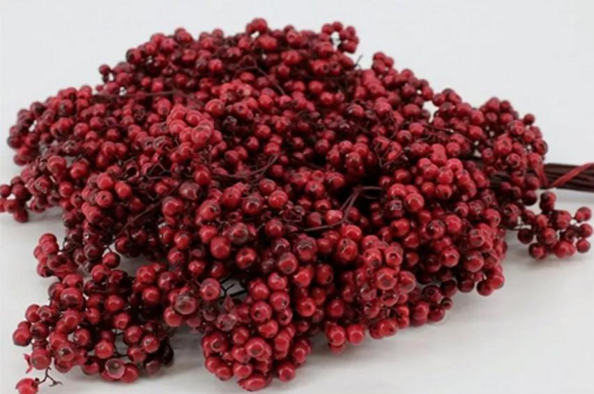 10x Dc pepper berry bordeaux