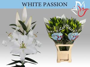 10x Lil.white passion 80cm