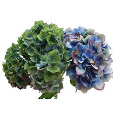5x Hydr.mix var.herfst 40cm