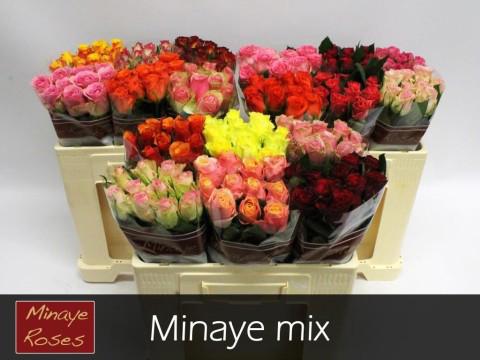 60x Rosa mix vast minaye 50cm
