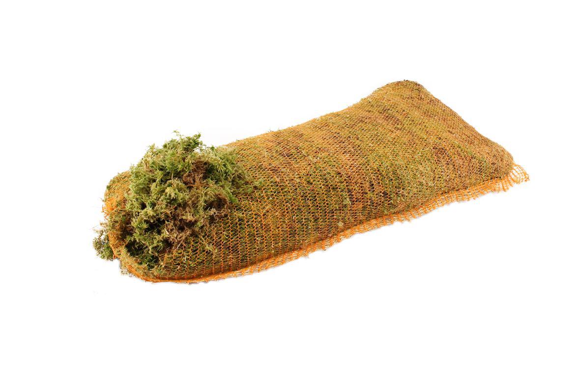 1x Sg mos sphagnum
