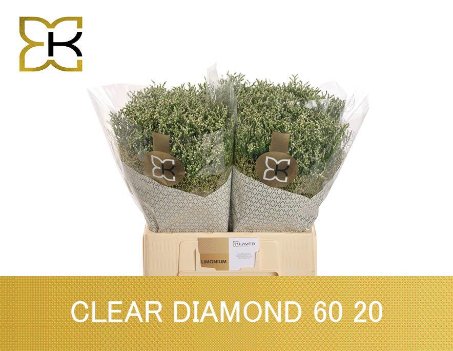 25x Lim.clear diamond 60cm