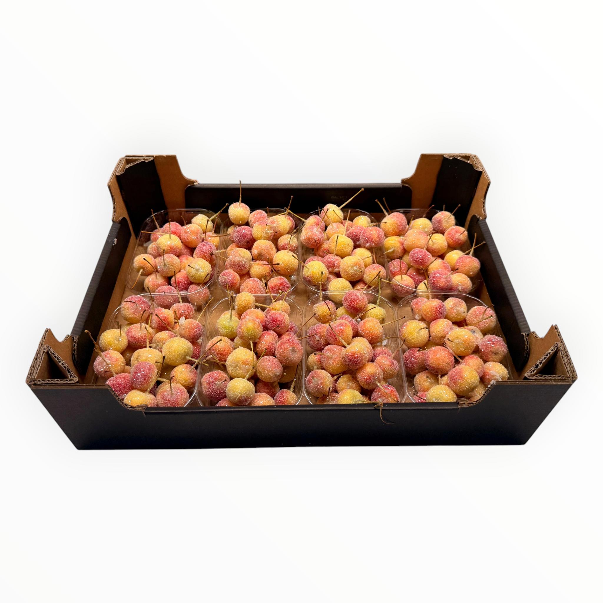 8x Sf malus wax naturel + glitter