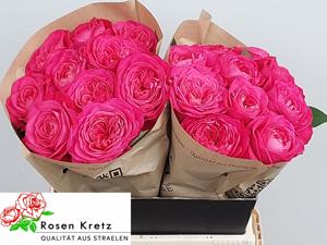 10x Rosa girlfriend 40cm