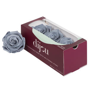 3x Dc pres.rozen graphite