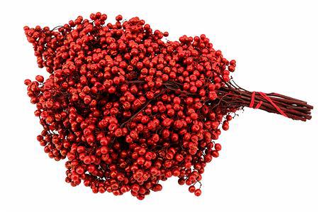 10x Dc pepper berry kerstrood