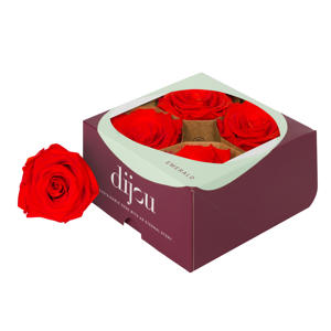 4x Rose preserved dc scarlet