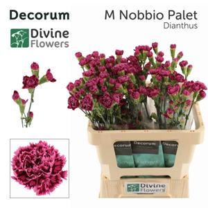 10x Dian.tr.mini nobbio palette 60cm