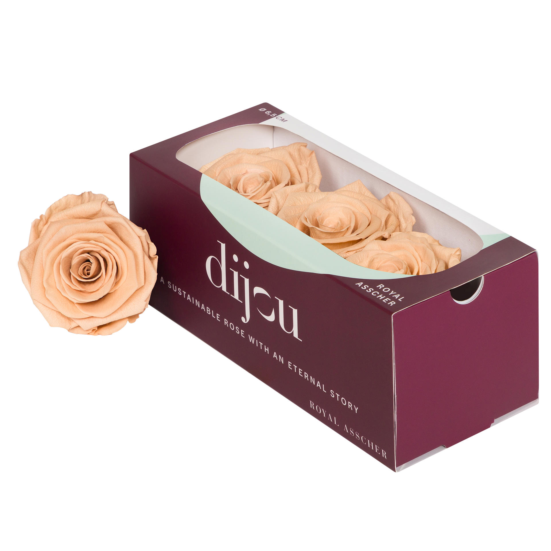 3x Dc pres.rozen apricot