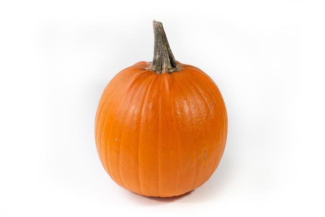 1x Sf cucurbita halloween 10cm
