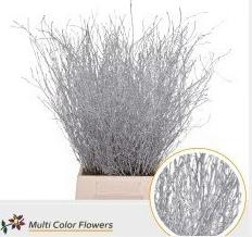 10x Tk betula zilver 70cm