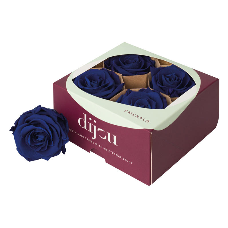 4x Dc pres.rozen blue 0294c