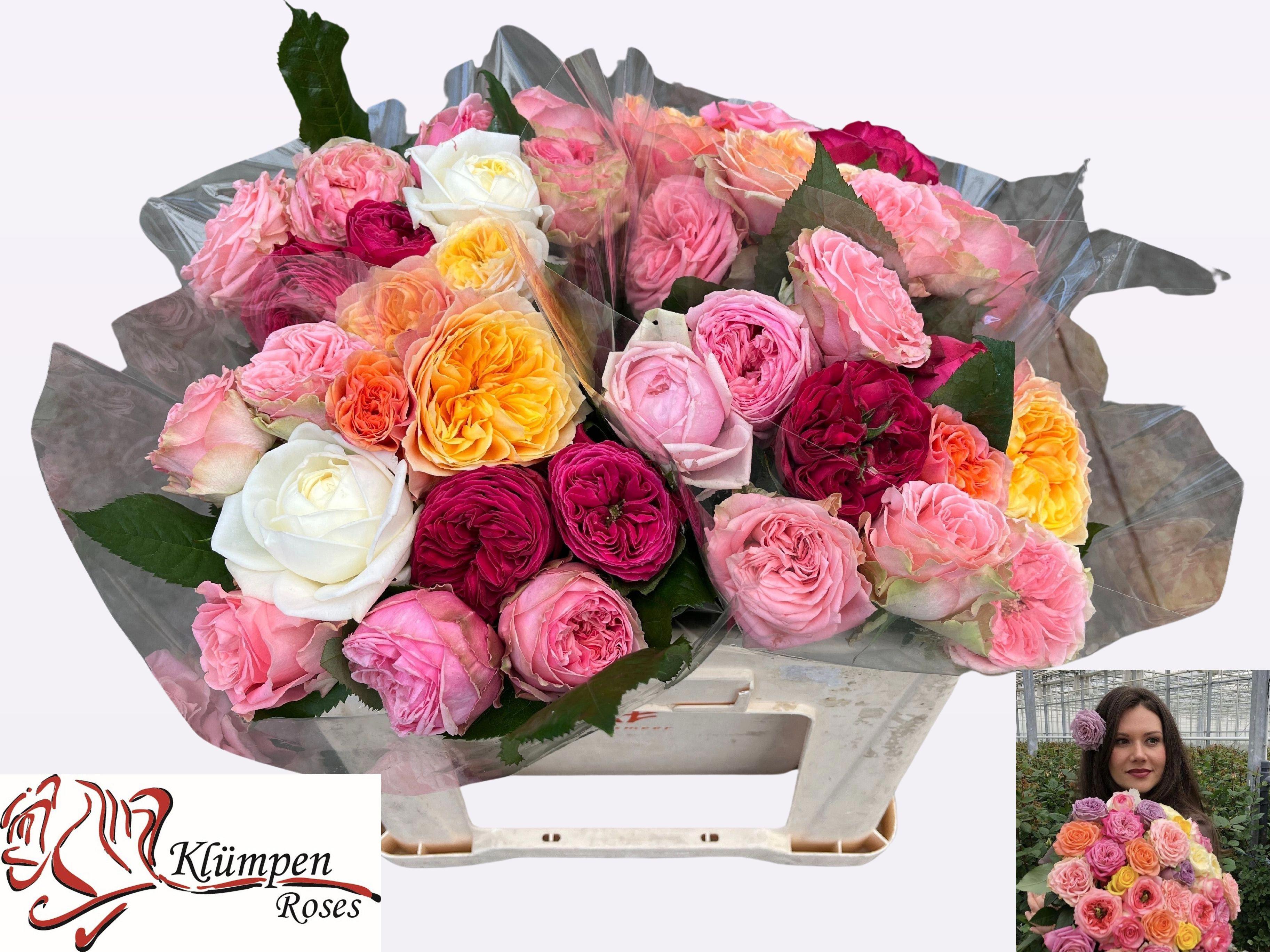 10x Rosa mix/bos gr 30cm