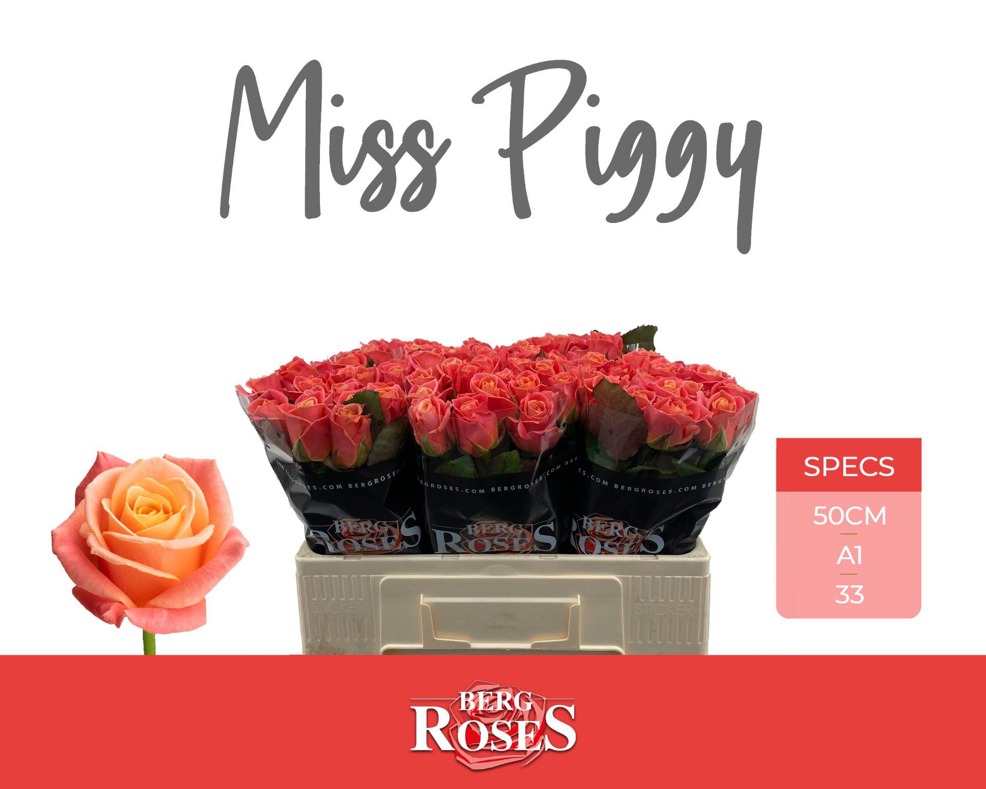 20x Rosa miss piggy+ 50cm