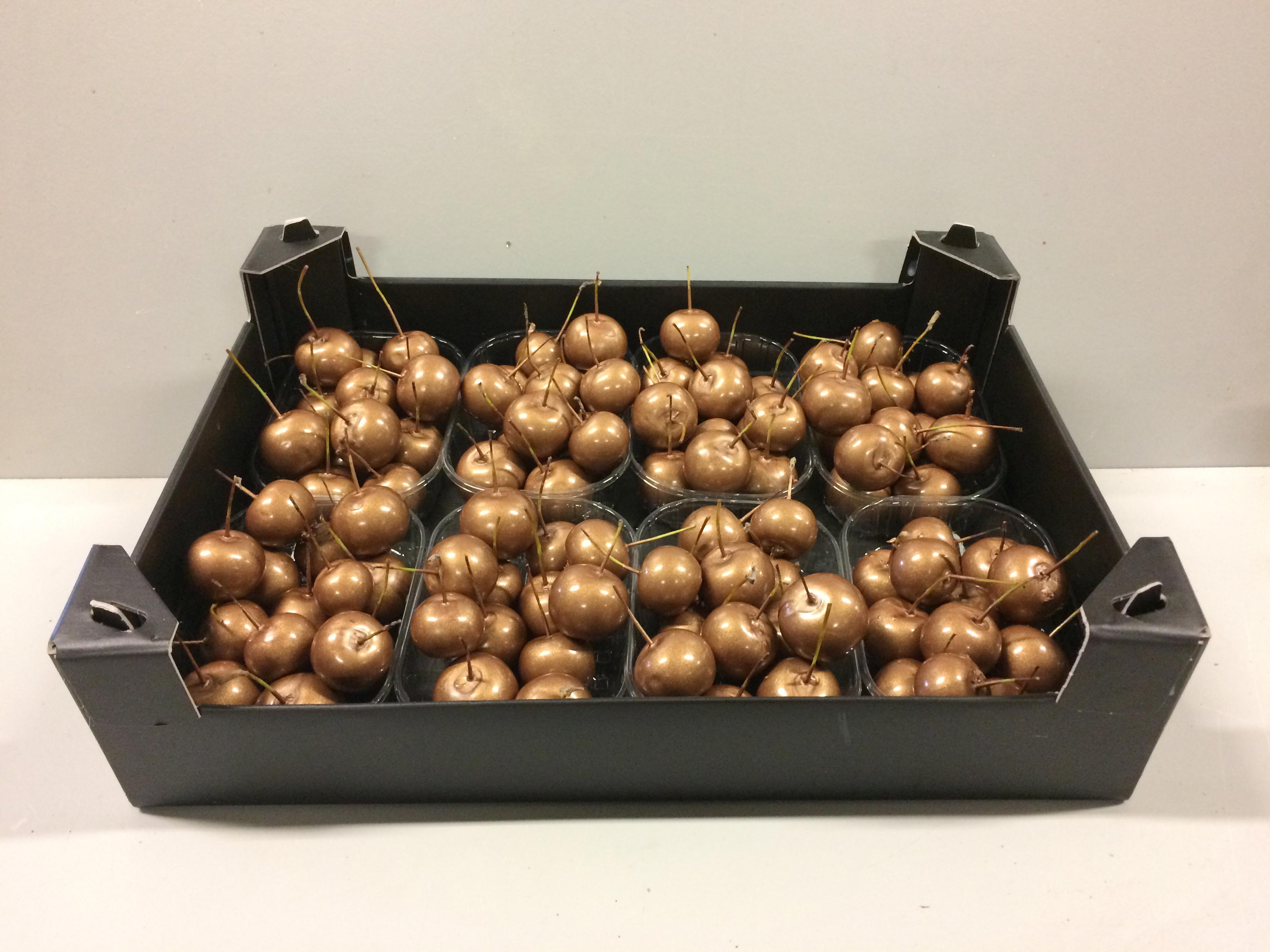 8x Sf malus wax koper