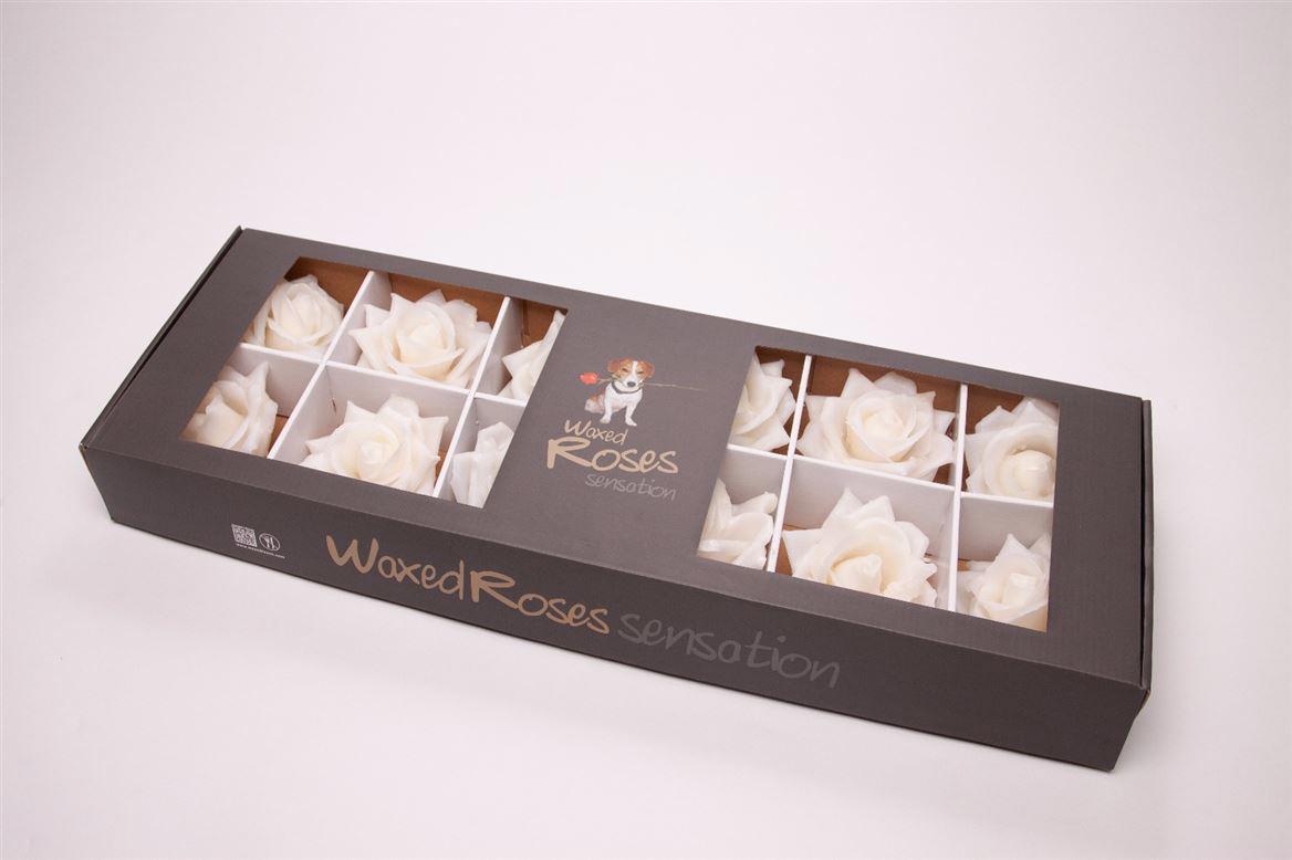 10x Dc wax zijden roos wit 10cm