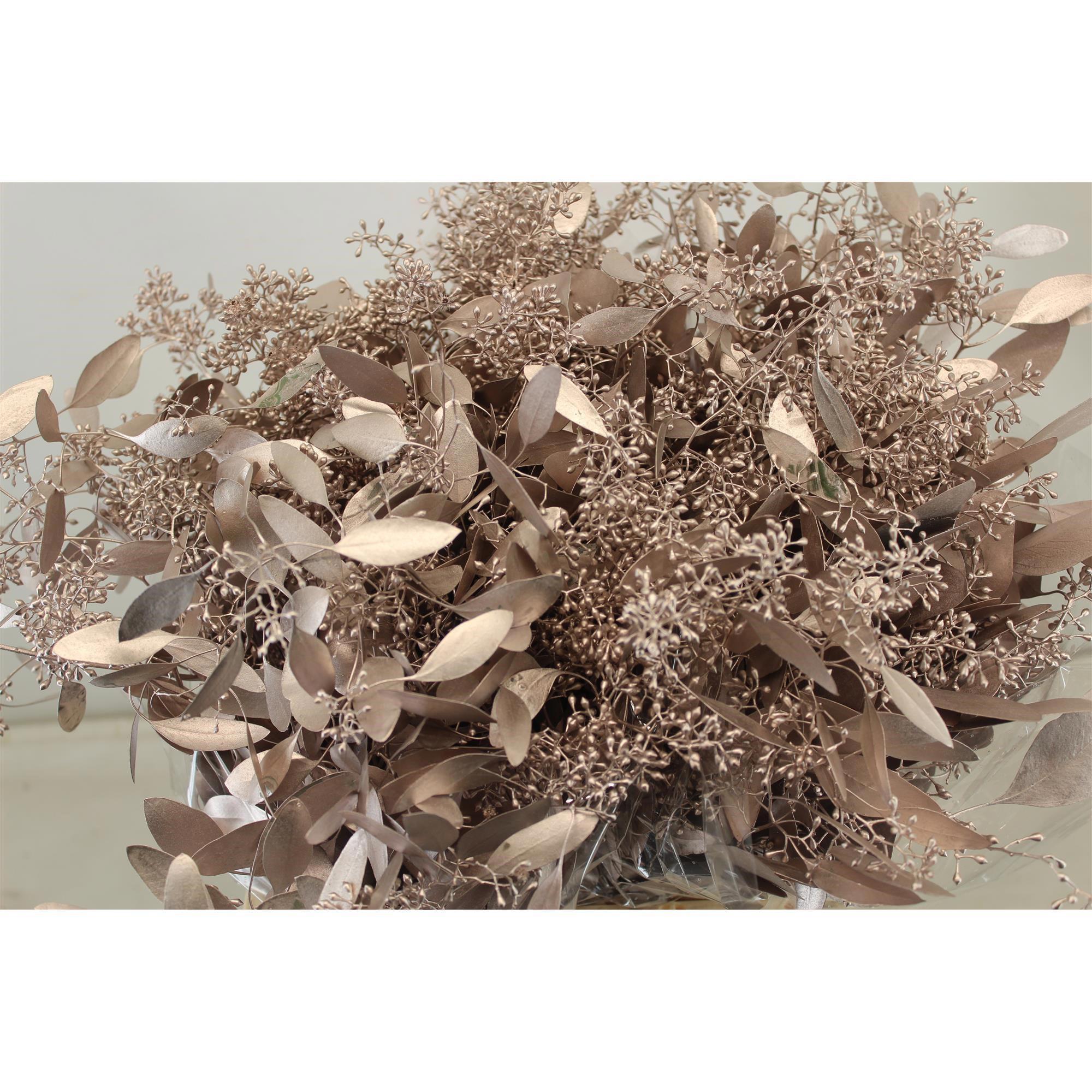 5x Sg eucalyptus pol.bes champagne 60cm