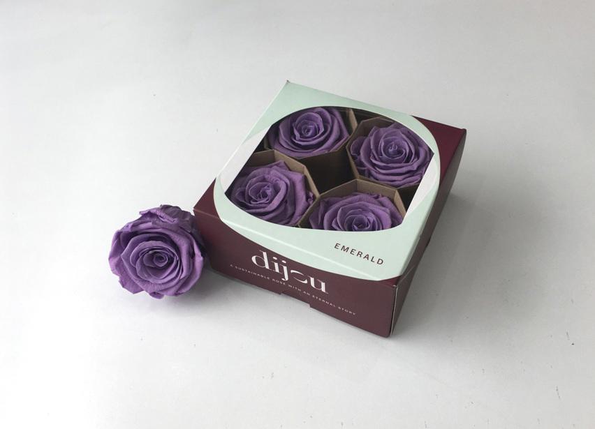 9x Dc pres.rozen milka 0631c