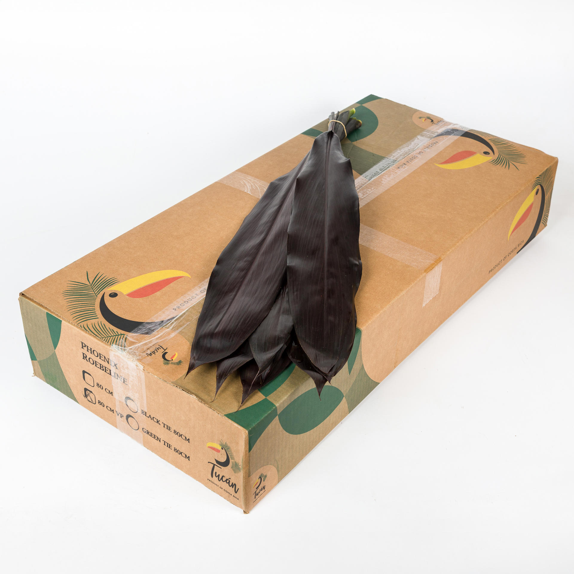 1x Sg cordy.black tie 80cm