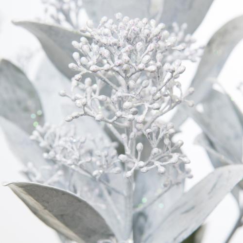 5x Skimmia wit + glitter 40cm