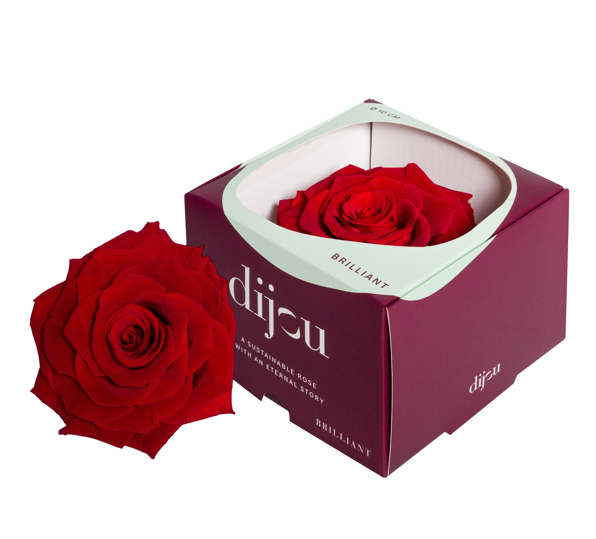 1x Dc pres.rozen light red 1795c