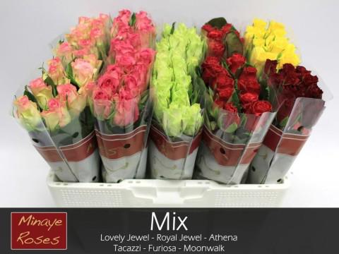 100x Rosa mix vast minaye fr 40cm